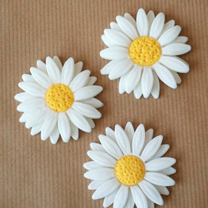 Fondant daisy cupcake toppers